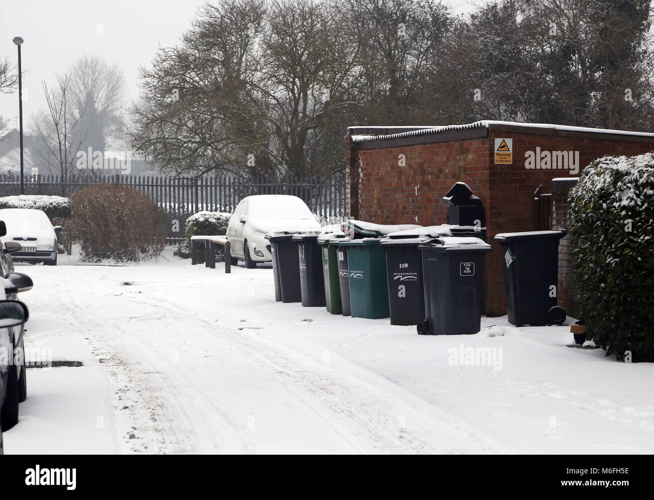 Scomparti Wheelie nella neve in Peterborough, CAMBRIDGESHIRE. Neve, Peterborough, il 3 marzo 2018. Foto Stock