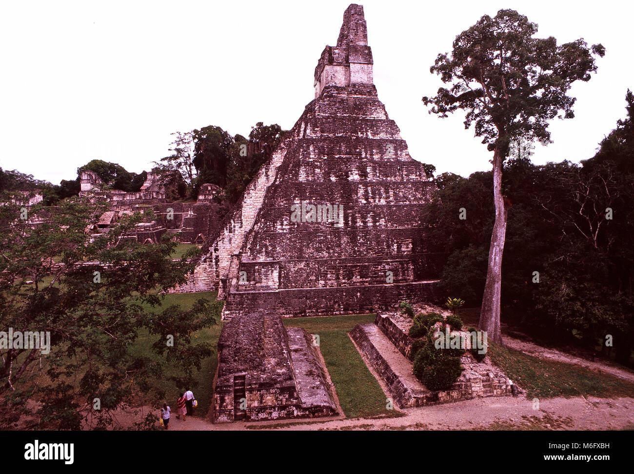 Il Tempio del giaguaro.Tikal, Guatemala Foto Stock