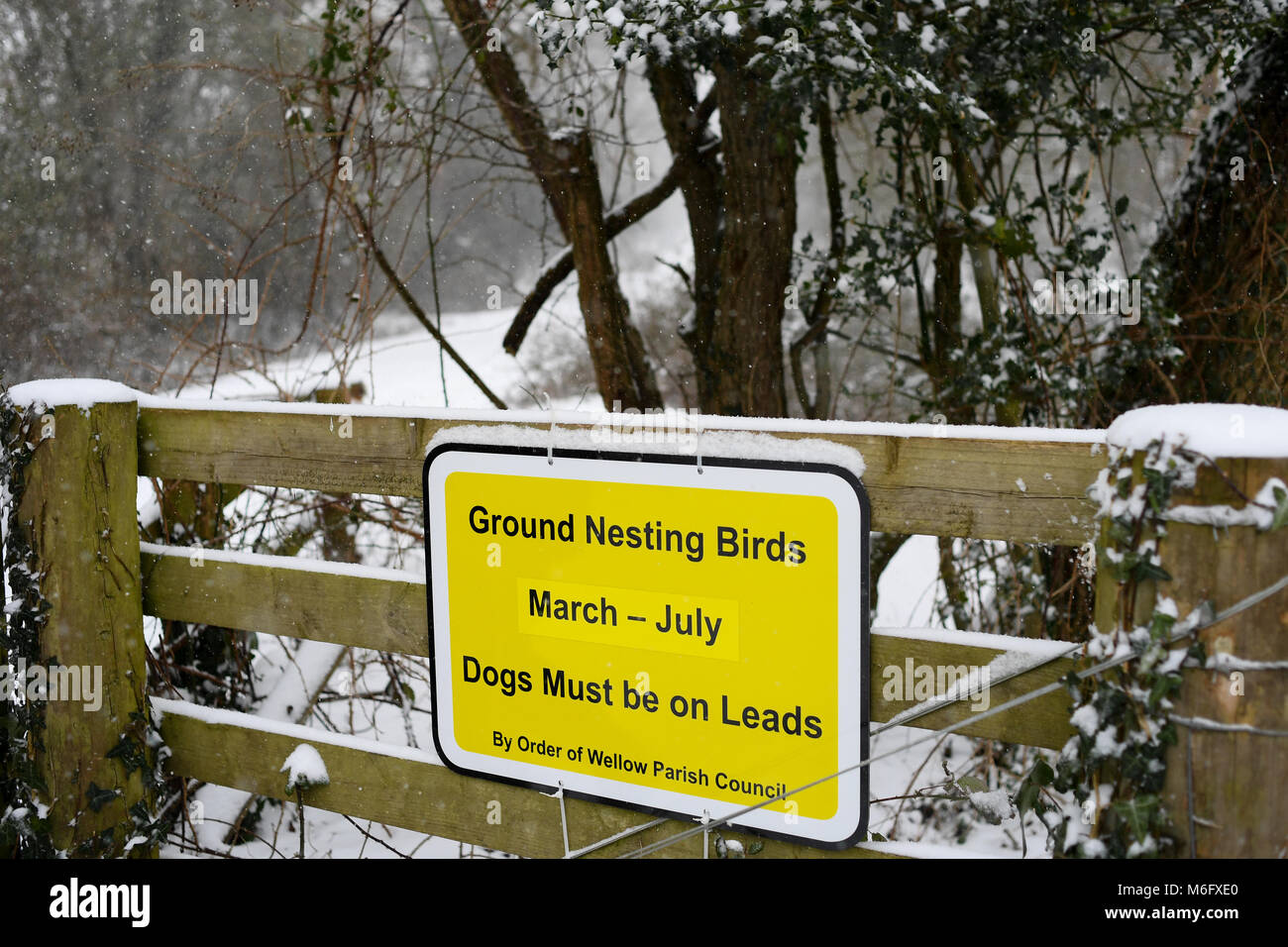 Massa uccelli nidificanti segno montato sul recinto sul Canada parte comune del nuovo Parco Nazionale Foreste.Mentre la terra è coperta di neve in marzo. Foto Stock
