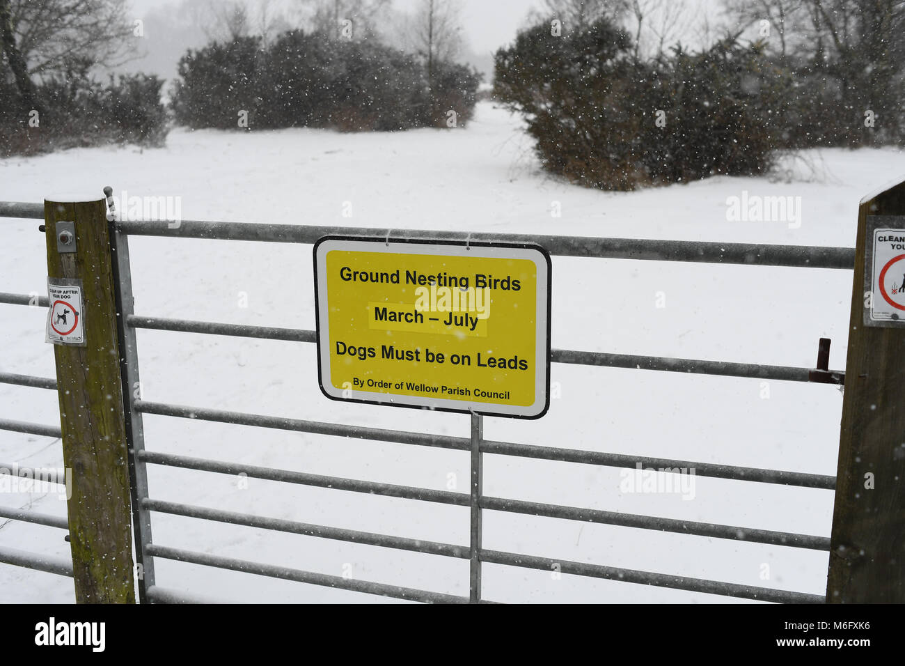 Massa uccelli nidificanti segno montato sul recinto sul Canada parte comune del nuovo Parco Nazionale Foreste.Mentre la terra è coperta di neve in marzo. Foto Stock