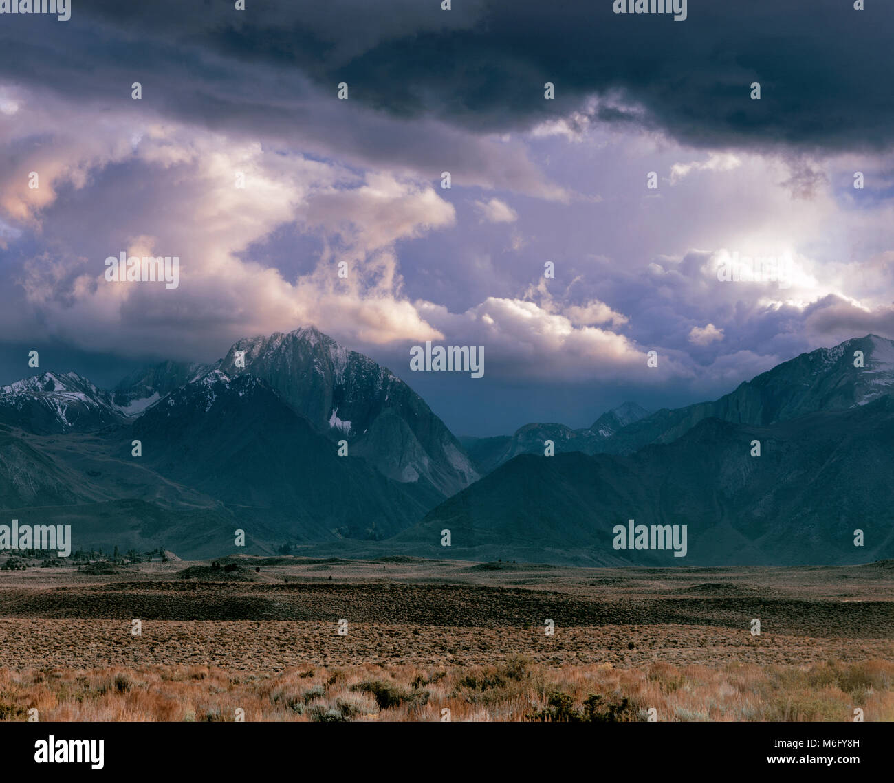 Nuvole di tempesta, McGee Canyon, Mount Morrison, Inyo National Forest, Sierra orientale, California Foto Stock