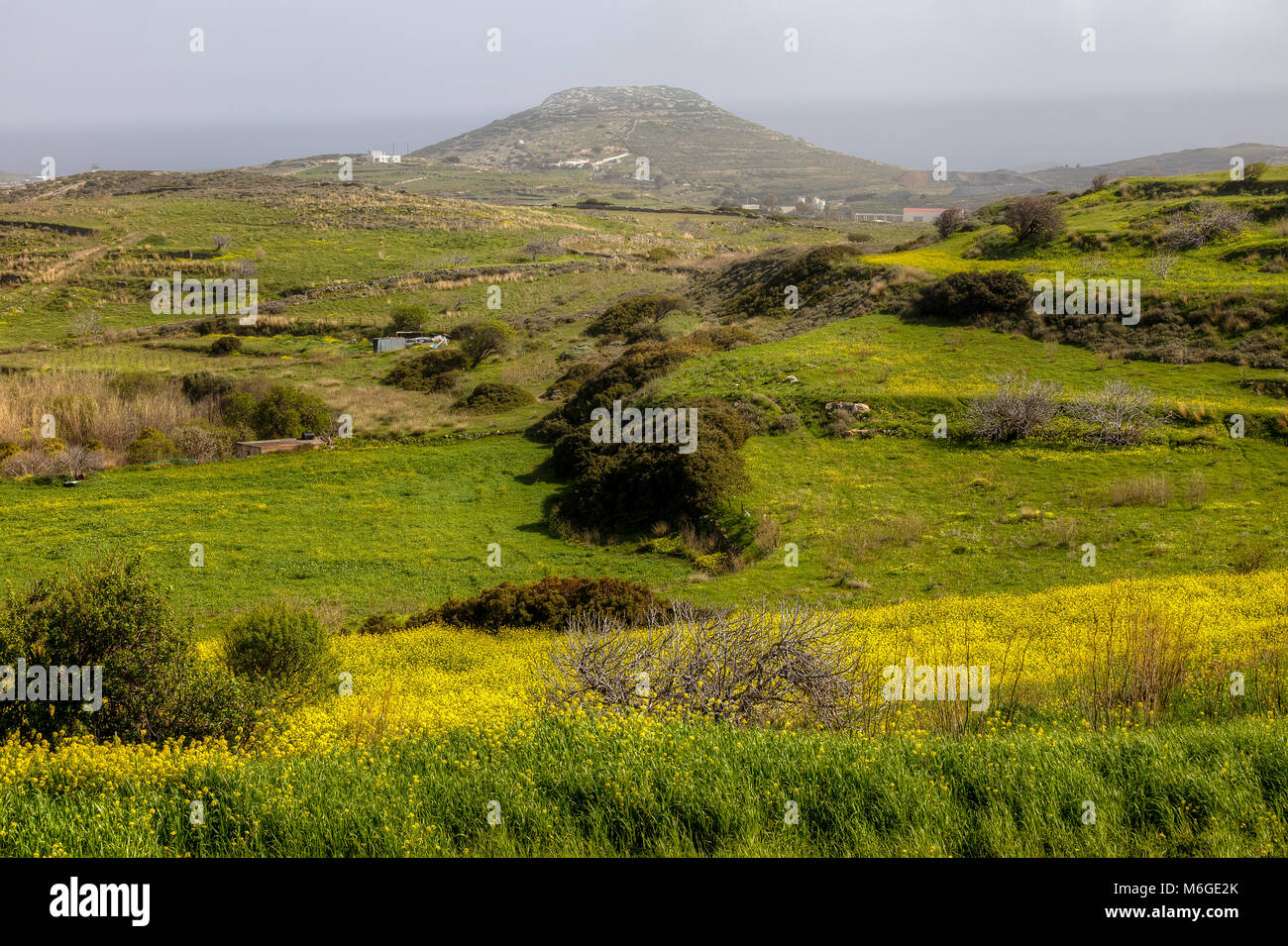 Ampio panorama sulla campagna in Syros, Grecia con campo verde in primo piano Stock Photo . Foto Stock