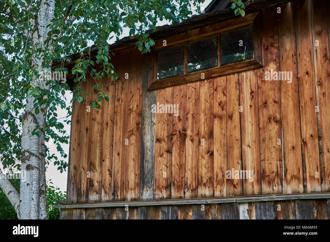 Casa di campagna, la sua facciata adornata da verdeggianti in legno condivide lo spazio con una giovane betulla Foto Stock