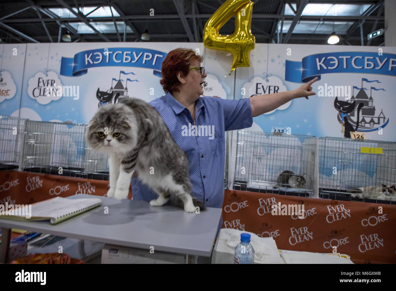 Mosca, Russia. 4 Marzo, 2018. Un esperto valuta pedigree gatto a Catsburg 2018 esposizione internazionale cat supershow al Crocus Expo exhibition centre di Mosca, Russia Credito: Nikolay Vinokurov/Alamy Live News Foto Stock