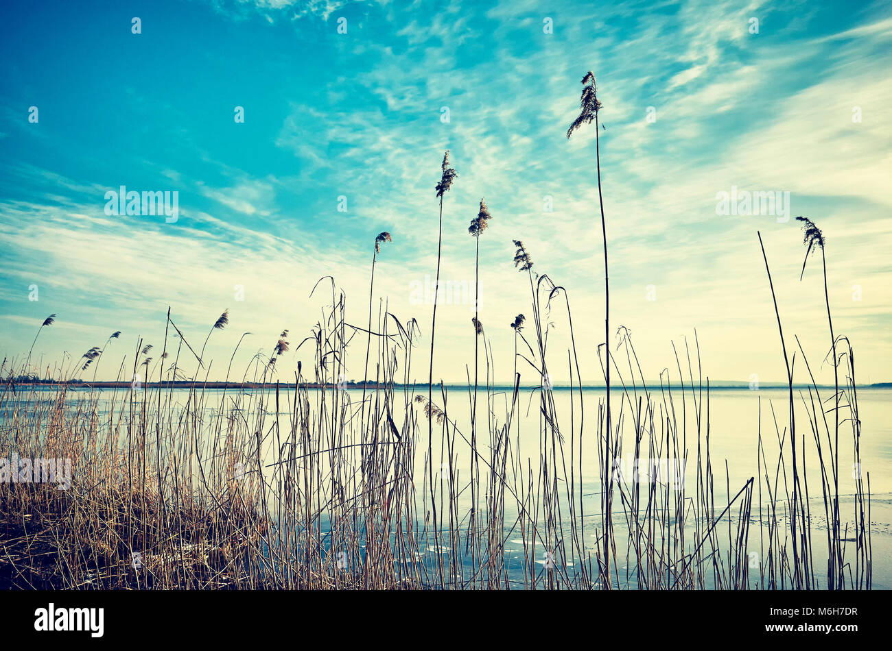 Vintage foto dai toni di reed da un lago ghiacciato al tramonto. Foto Stock