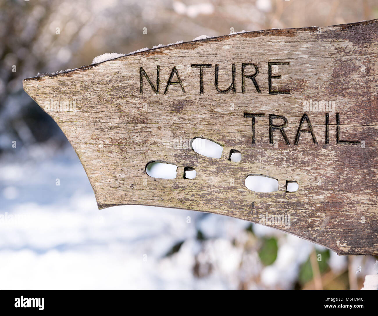 Sentiero natura segno su un percorso a piedi in una coperta di neve forest Foto Stock