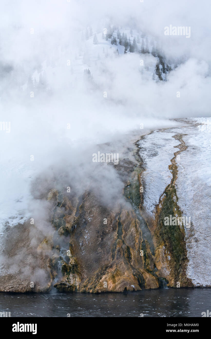 Sventolano vapore sorge da una primavera calda feed creek in esecuzione su per una collina ripida in un fiume calmo. Foto Stock