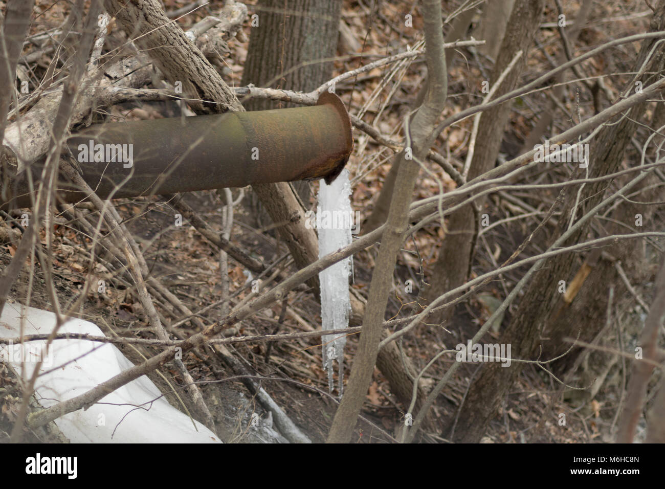Thurston Avenue bridge dal campus principale verso nord Campus, Cornell University di Ithaca NY Foto Stock