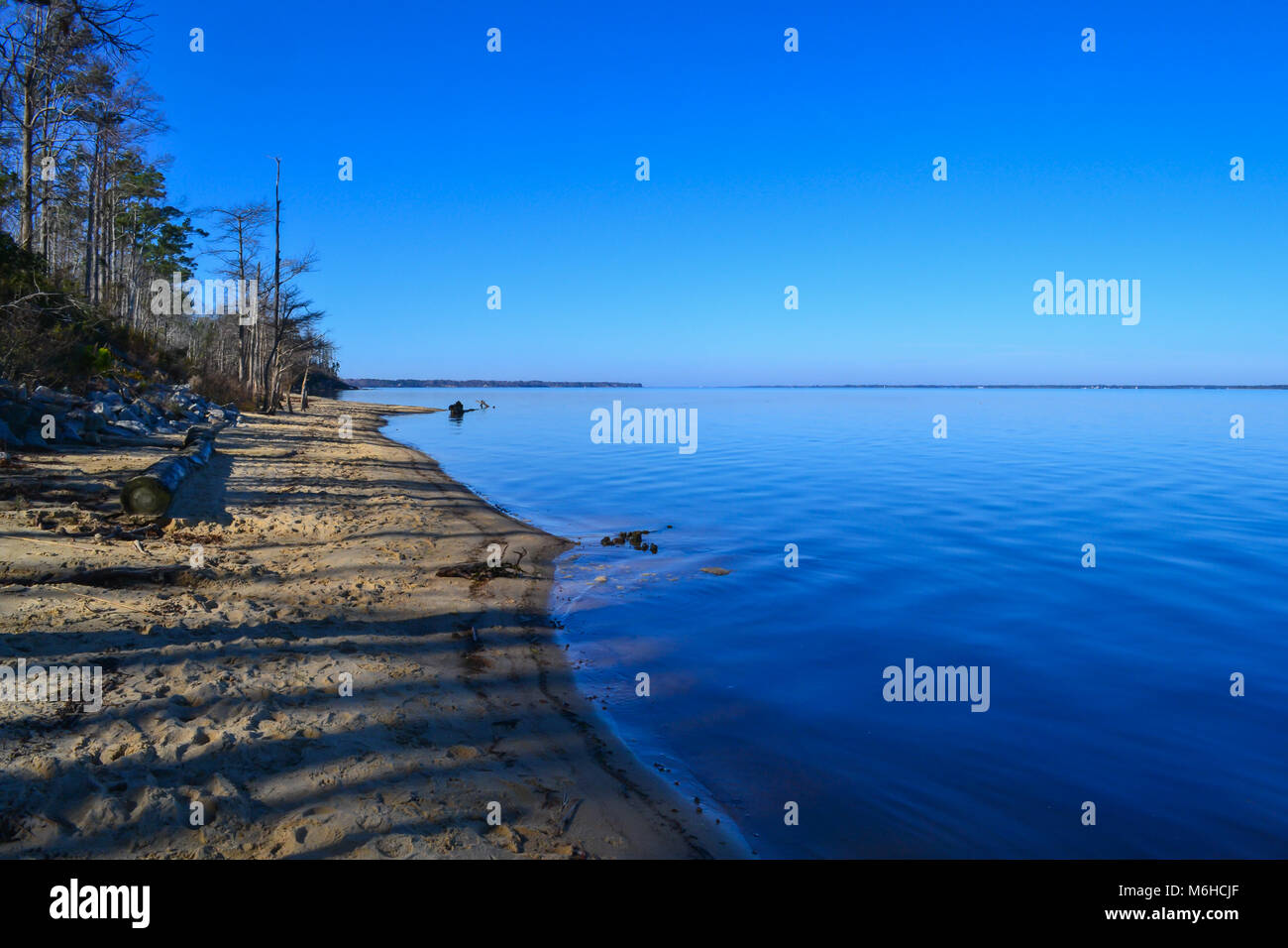 Neusiok River Trail lungo le rive del fiume Neuse in New Bern, North Carolina, Stati Uniti d'America - mirabilmente bellissimo cedro tronchi di alberi sorgere dall'acqua Foto Stock