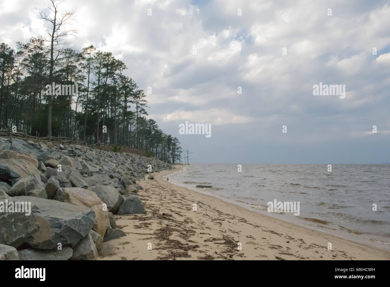 Neusiok River Trail lungo le rive del fiume Neuse in New Bern, North Carolina, Stati Uniti d'America - mirabilmente bellissimo cedro tronchi di alberi sorgere dall'acqua Foto Stock