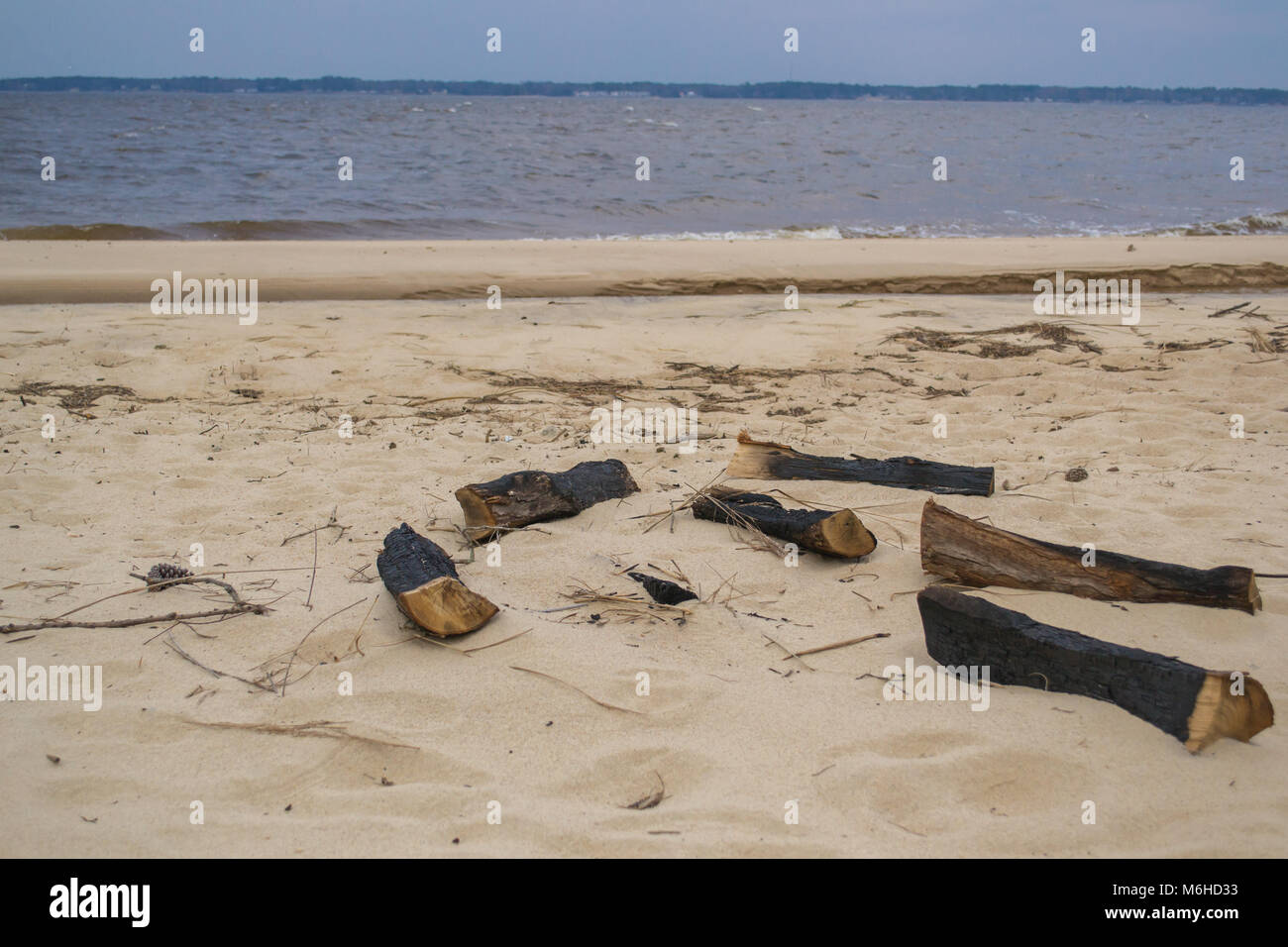 Neusiok River Trail lungo le rive del fiume Neuse in New Bern, North Carolina, Stati Uniti d'America - mirabilmente bellissimo cedro tronchi di alberi sorgere dall'acqua Foto Stock