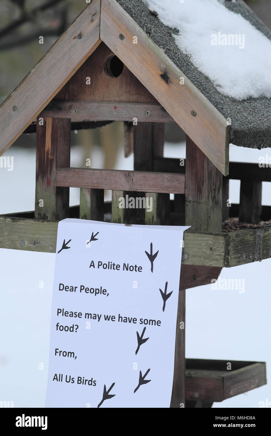 Una lettera di fingere di essere stato scritto da uccelli che chiedono cibo Foto Stock