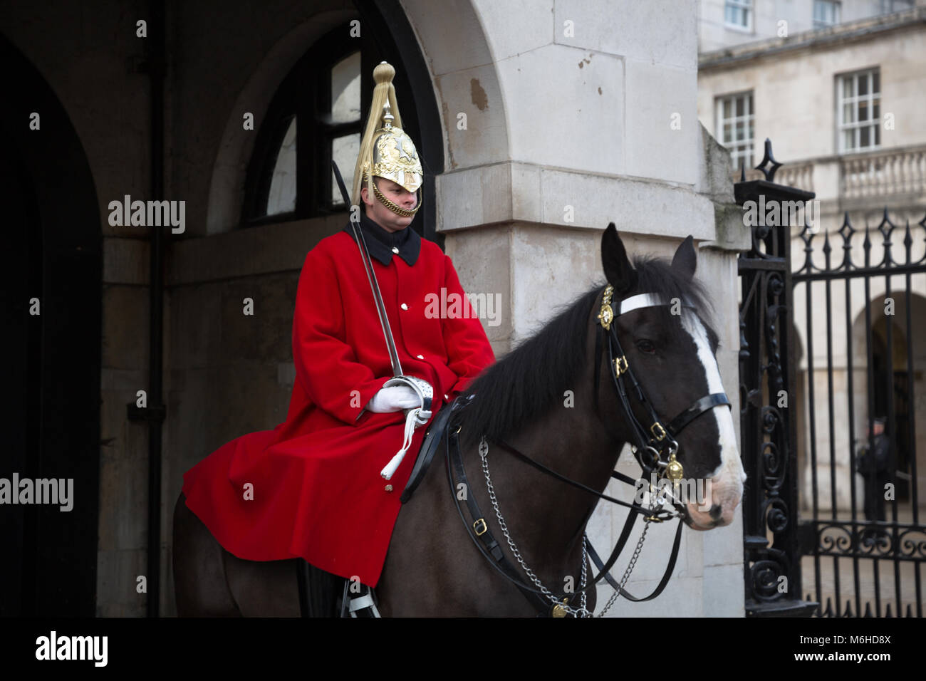 Cavalleria domestici Life Guard montato a cavallo - Whitehall - Londra, Inghilterra - UK Foto Stock