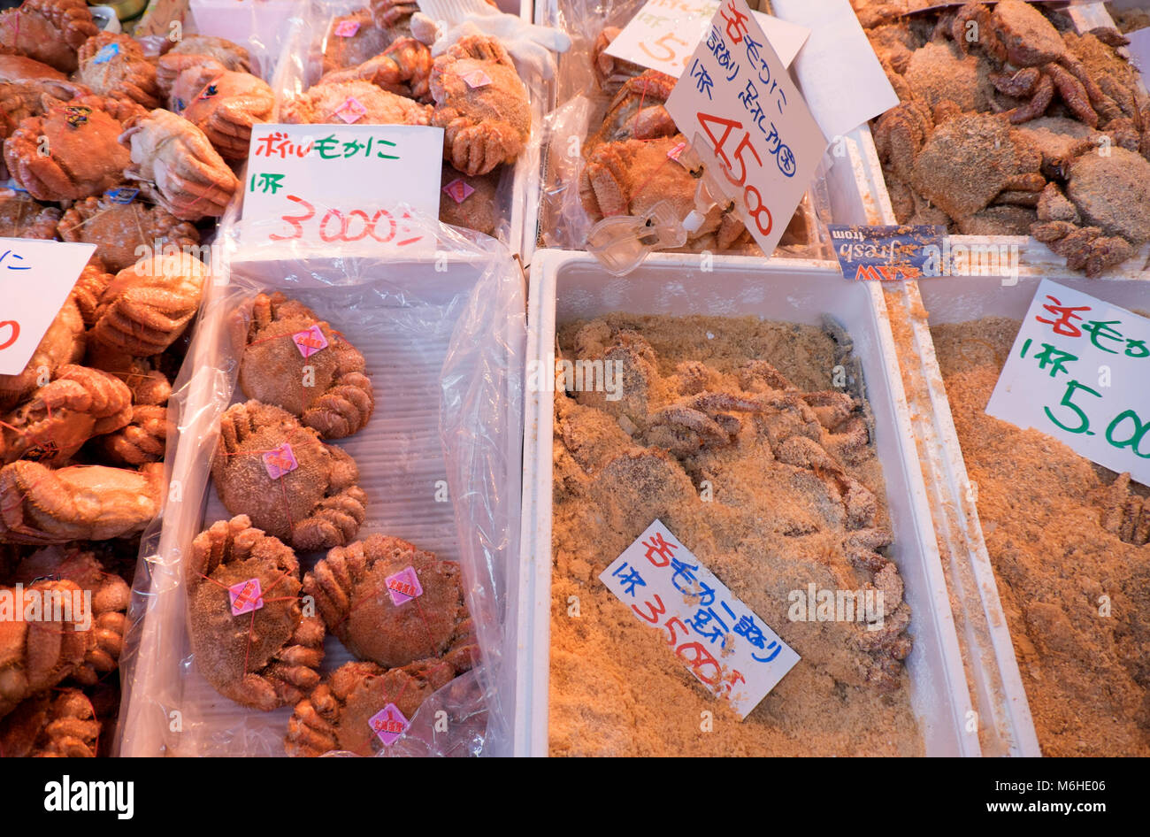 Il Mercato del Pesce di Tsukiji,tokyo ,Giappone Foto Stock