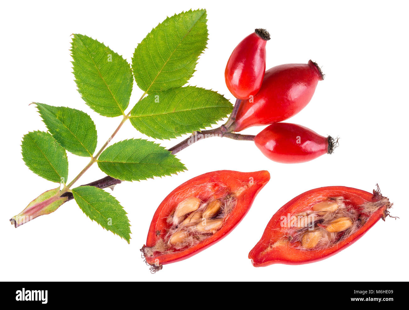 Rametto di rosa mosqueta rosso e rosa canina dimezzata. Rosa canina. Briar ramo con foglie verdi e le due metà della frutta tagliata pieno di vitamine. Isolato su bianco. Foto Stock