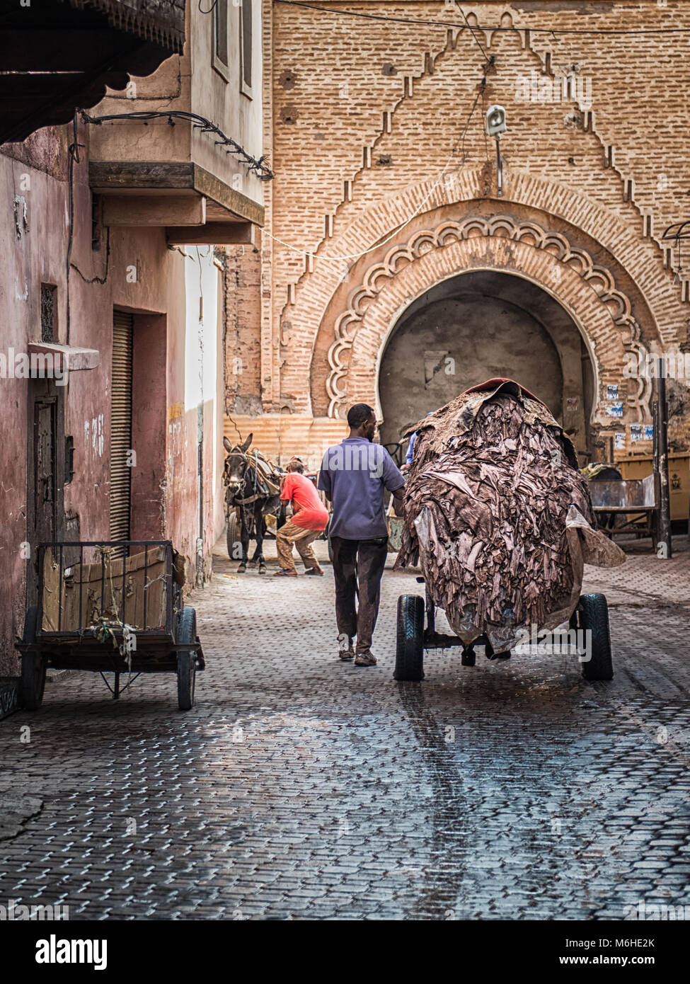 Una via medina di Marrakech, Marocco nel distretto di conceria. Un carrello pieno di imbevuto di pelli in cuoio è trainato da un asino. Foto Stock