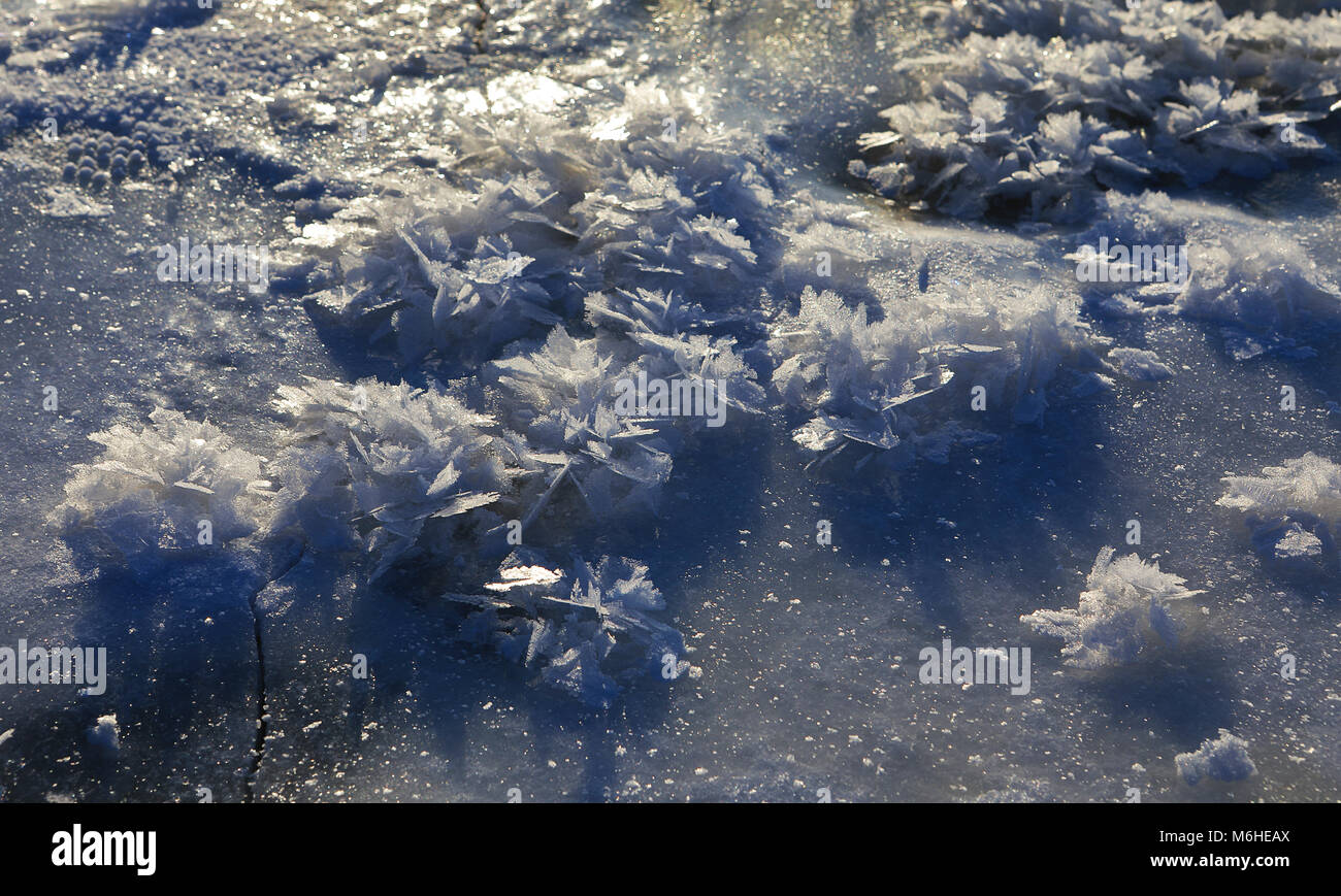 Bella frost pattern come fiori di ghiaccio cresciuto sulla superficie del ghiaccio, DOF Foto Stock