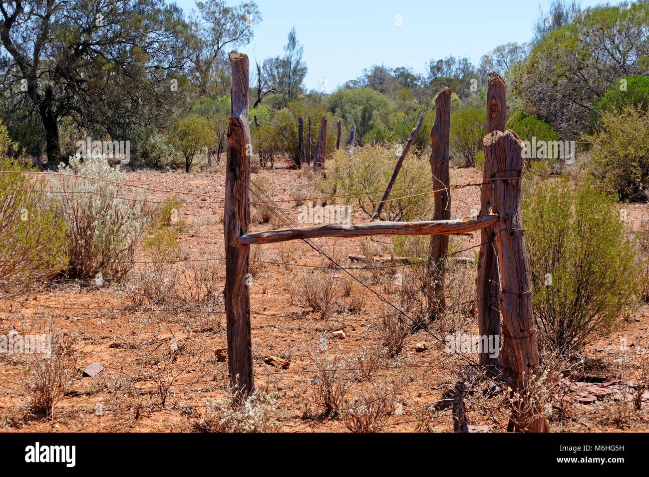 Antica recinzione in outback australiano, Orientale Goldfields, Western Australia. Foto Stock