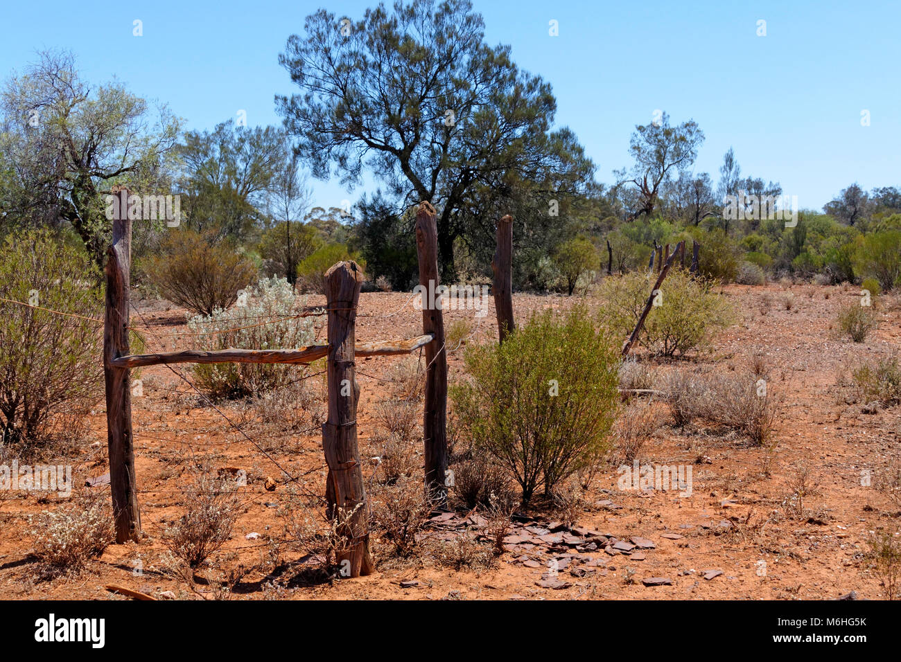 Antica recinzione in outback australiano, Orientale Goldfields, Western Australia. Foto Stock
