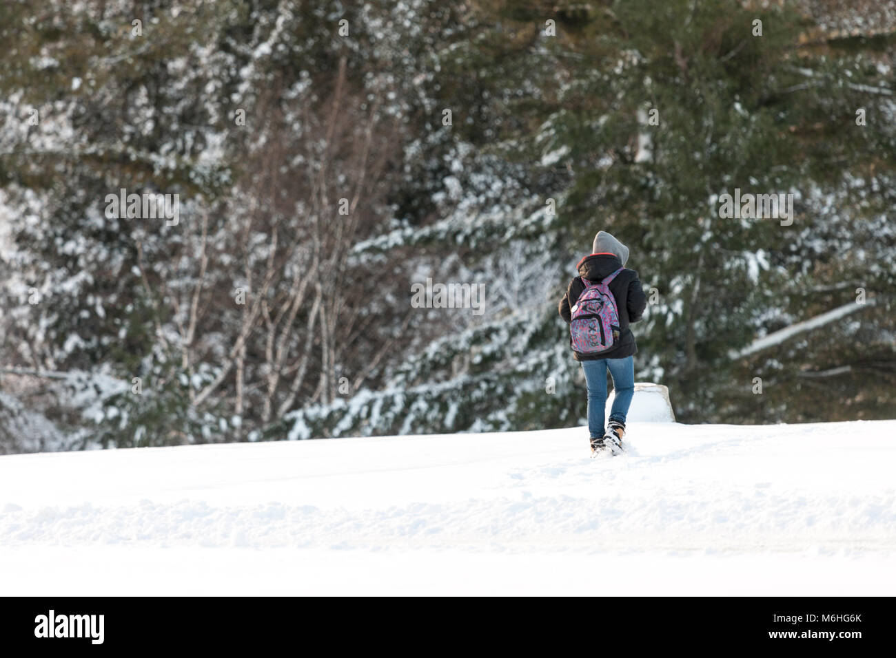 Pinafore Parco di San Tommaso, Ontario, Canada viene tranciato con una neve fresca caduta dopo che Madre Natura ha portato un tardo inverno tempesta a sudovest di Ontario. Foto Stock
