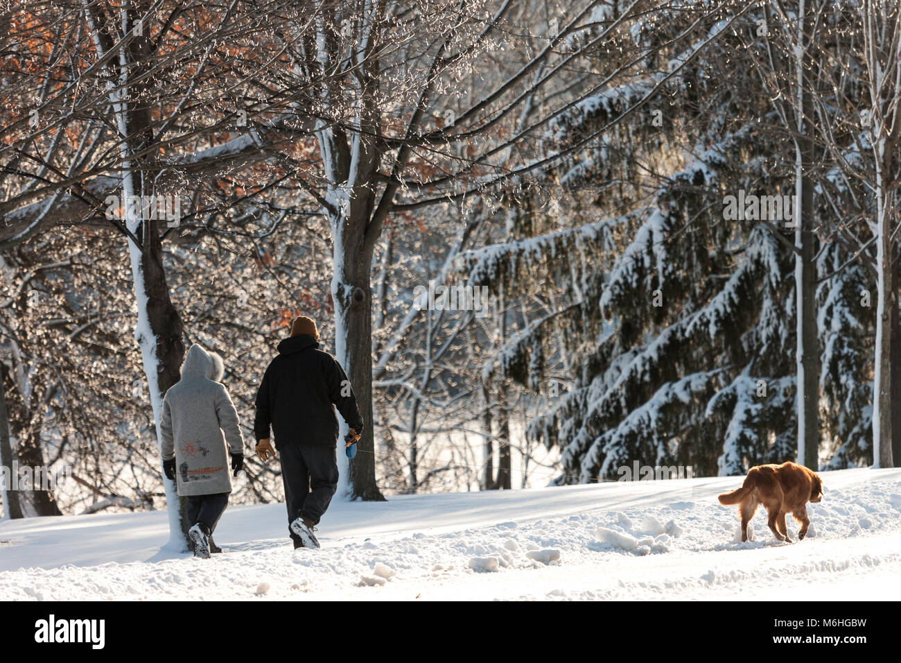 Pinafore Parco di San Tommaso, Ontario, Canada viene tranciato con una neve fresca caduta dopo che Madre Natura ha portato un tardo inverno tempesta a sudovest di Ontario. Foto Stock