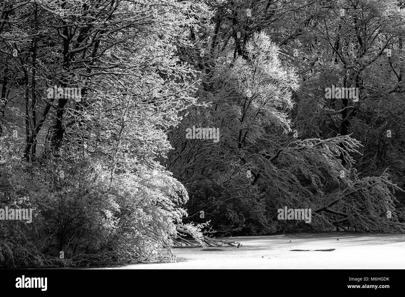 Pinafore Parco di San Tommaso, Ontario, Canada viene tranciato con una neve fresca caduta dopo che Madre Natura ha portato un tardo inverno tempesta a sudovest di Ontario. Foto Stock