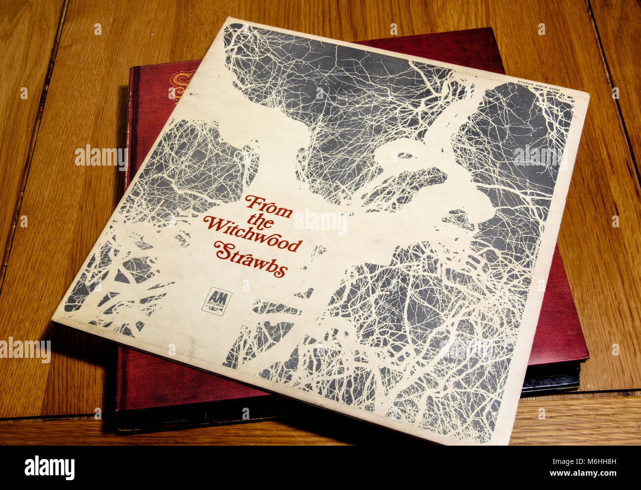 Dal Wychwood dal Strawbs un vecchio album coperchio, dischi in vinile degli anni settanta Foto Stock