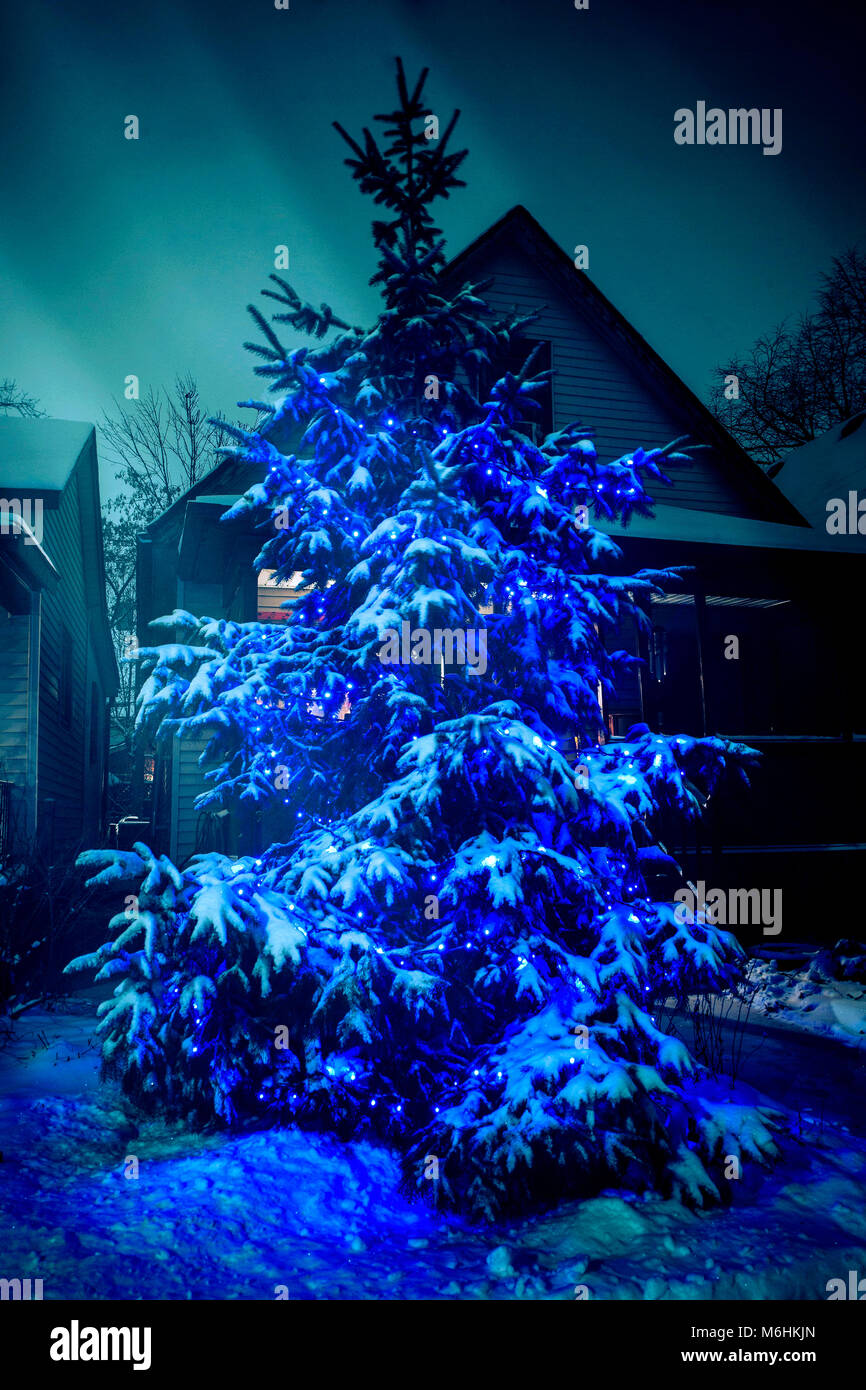 Per esterno albero di Natale con luci blu Foto stock - Alamy