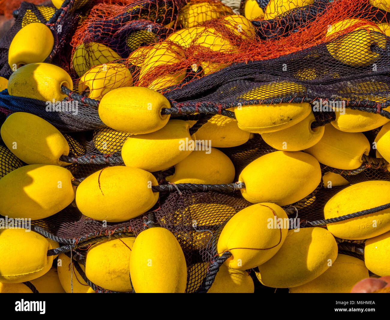 Le reti da pesca sull isola di Procida, Italia Foto Stock