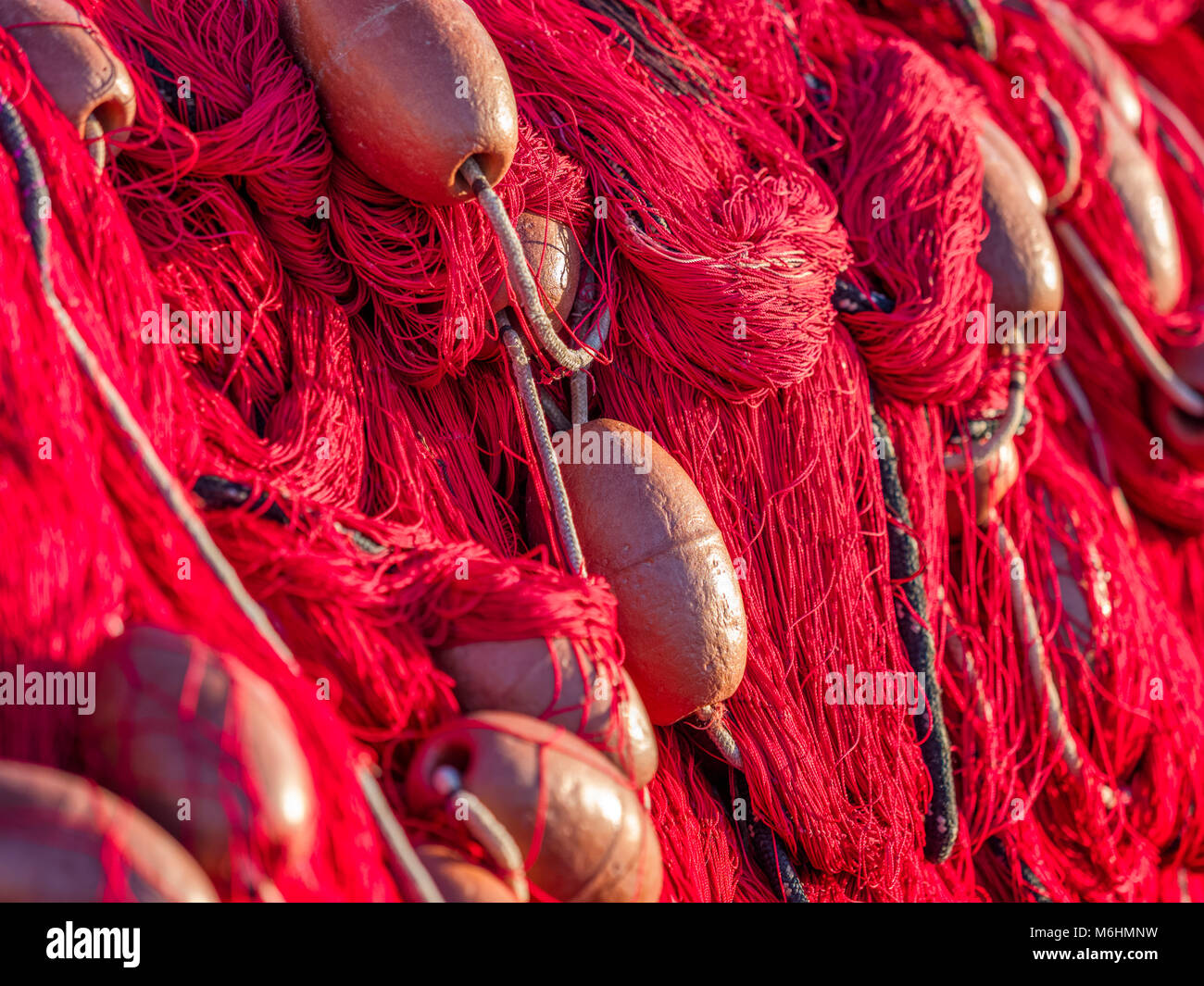 Le reti da pesca sull isola di Procida, Italia Foto Stock