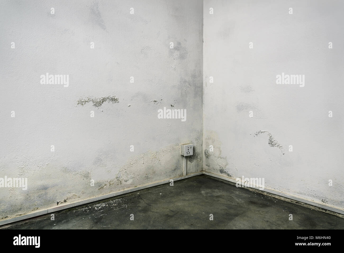 Grungy Angolo sala con pavimento in cemento e pareti bianche danneggiato dalla presenza di umidità Foto Stock