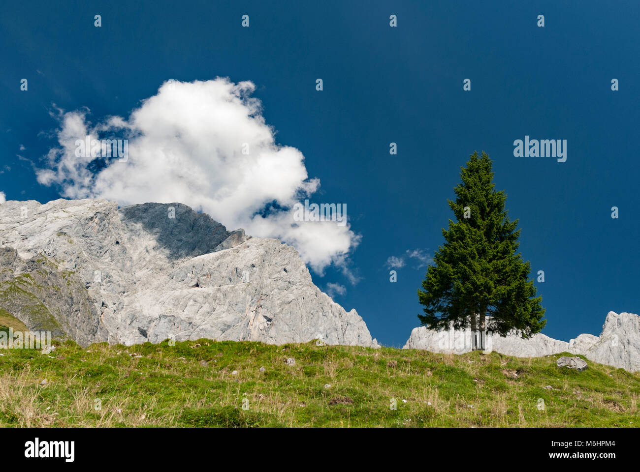 Austria, delle Alpi Foto Stock