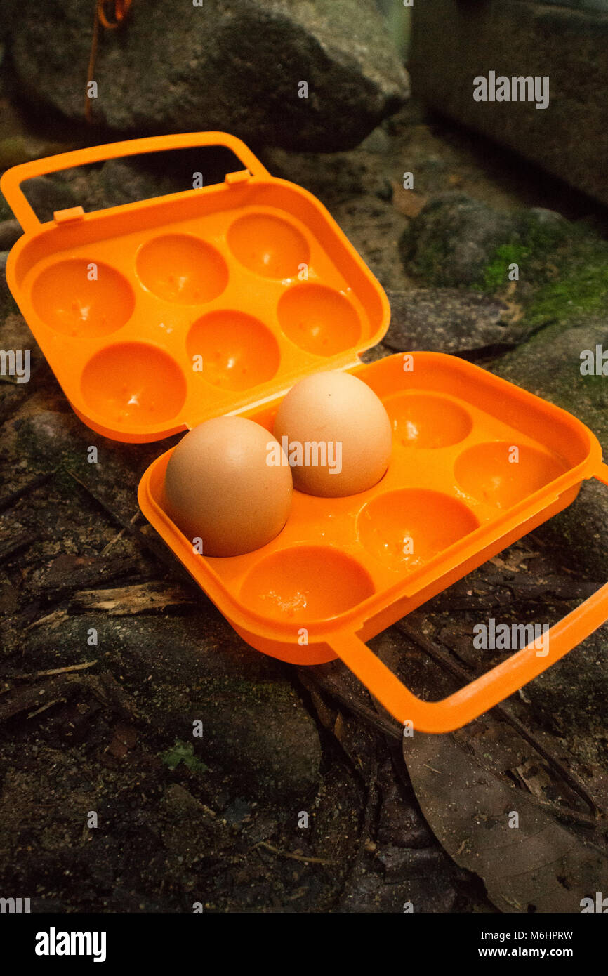 Di uova fresche in portable storage uovo per camping Foto Stock