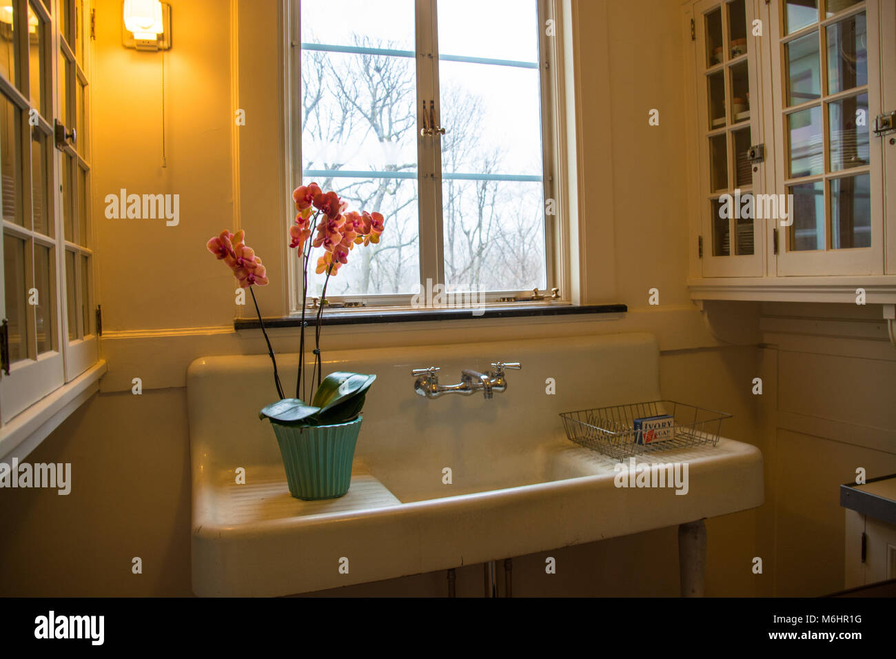 Sapone Ivory in cucina, Lilly House, Newfields, Indianapolis Museum of Art di Indianapolis. Orchidee, lavello, vecchi armadi e lavandino in Illuminazione ambra. Foto Stock