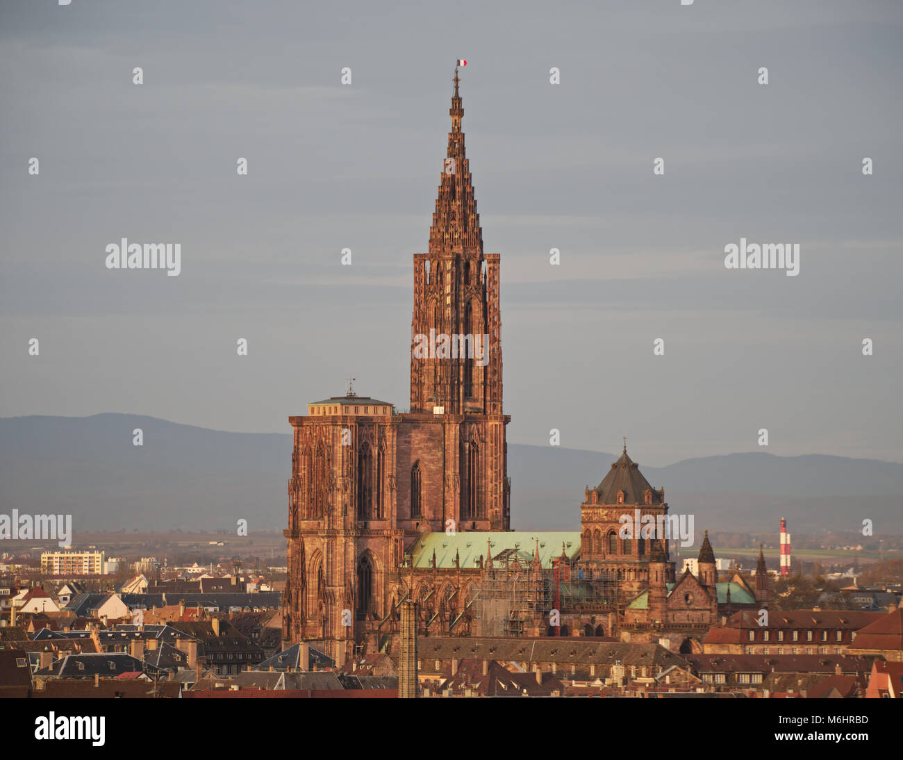 La cattedrale di Strasburgo in mattinata e da remoto alto punto di vista su un giorno di celebrazione (francese flag impostato su alto). Foto Stock