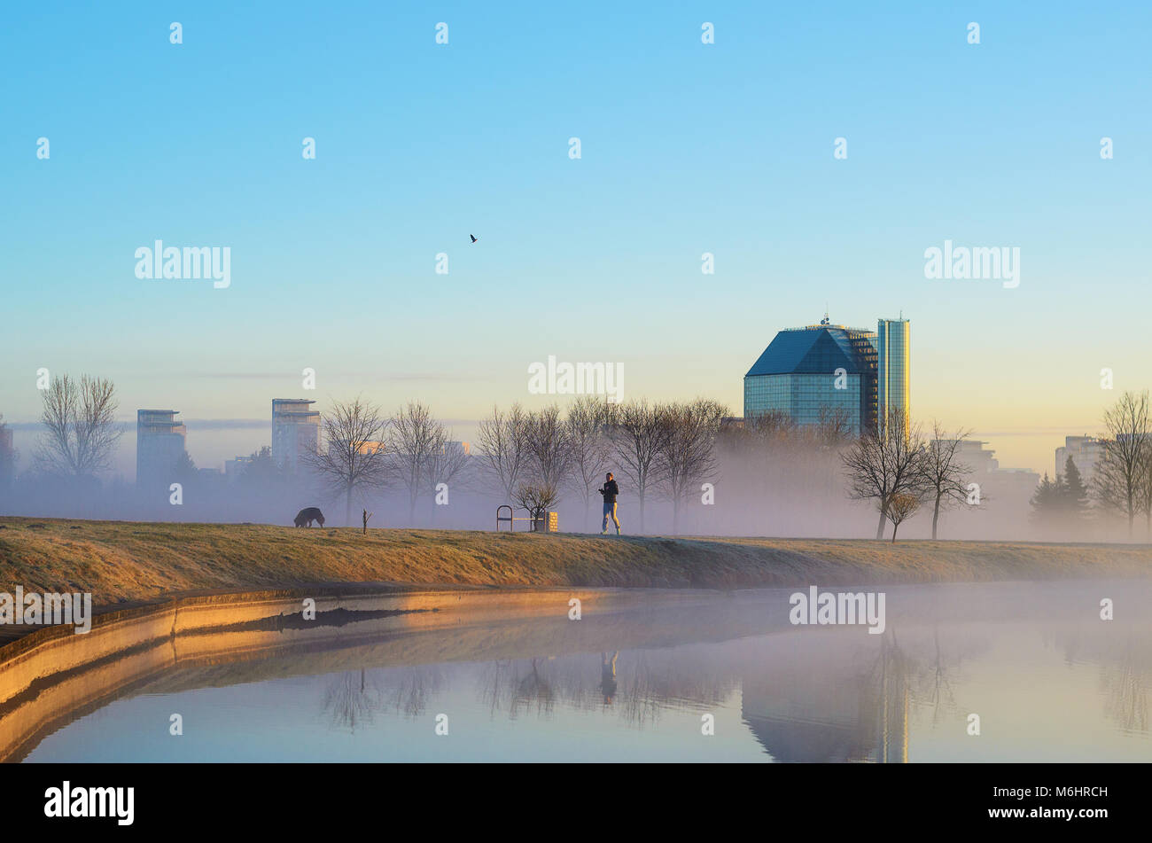 La Bielorussia Minsk - Aprile 4, 2017: una giovane donna jogging con un cane lungo la riva di un fiume in scrittori parco vicino alla Biblioteca nazionale nei primi foggy Foto Stock