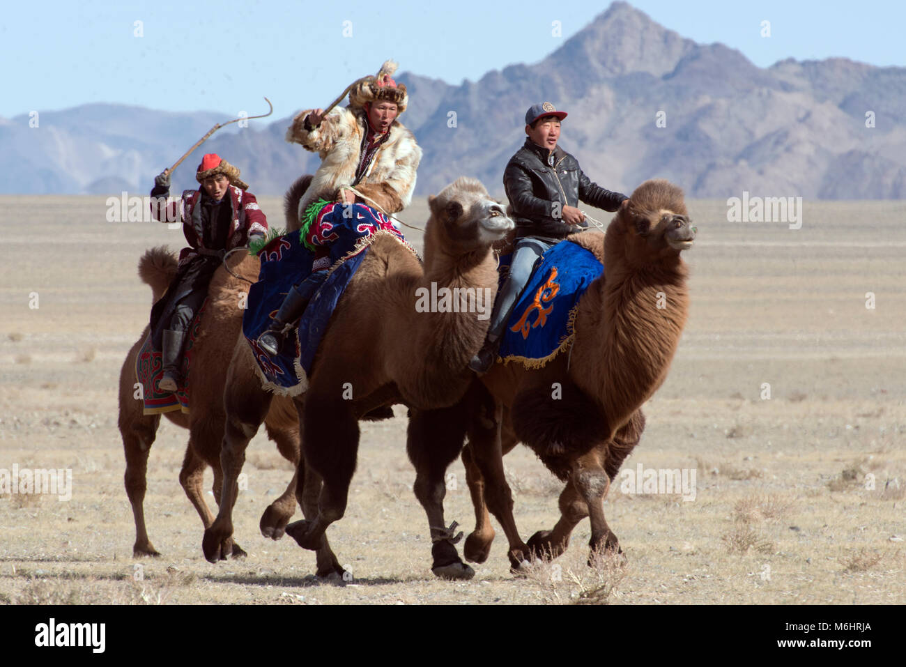 Il kazako uomini di competere in una gara di cammello al 2017 golden eagle festival in Olgii, Mongolia occidentale. Foto Stock