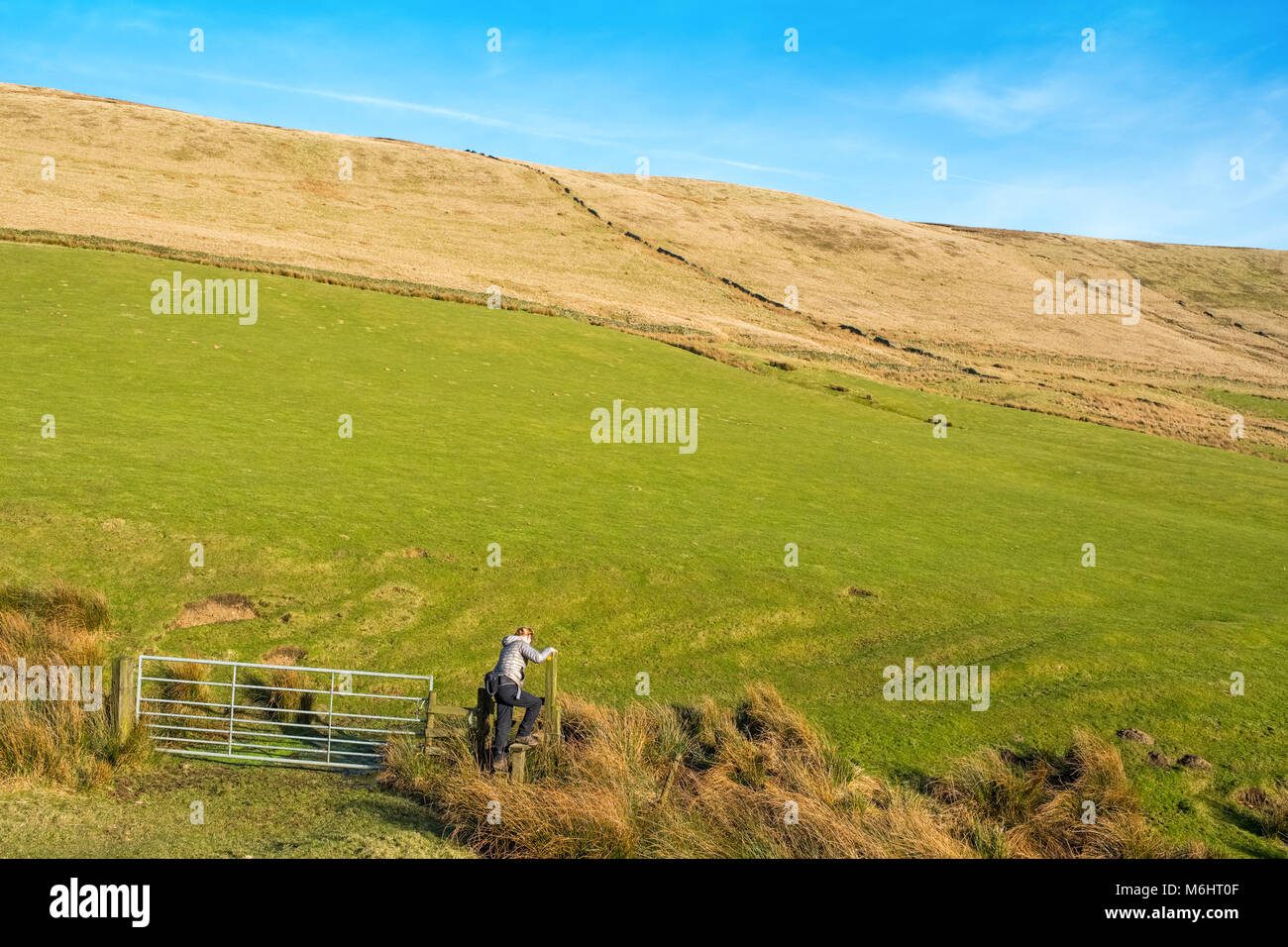 Il camminatore femmina su un percorso in Goyt Valley area del Peak District, con i gatti Tor /Shining Tor ridge in distanza Foto Stock