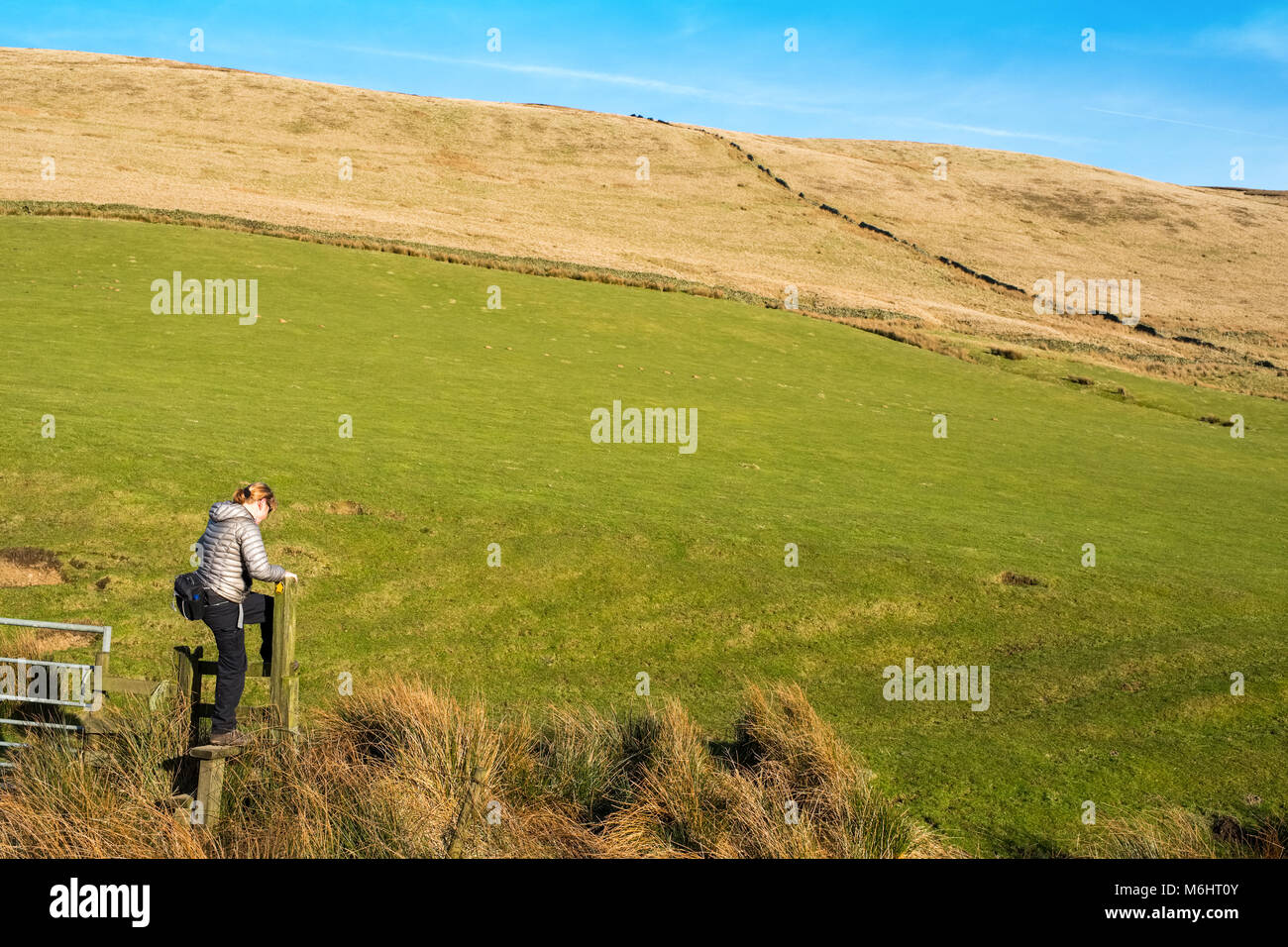 Il camminatore femmina su un percorso in Goyt Valley area del Peak District, con i gatti Tor /Shining Tor ridge in distanza Foto Stock