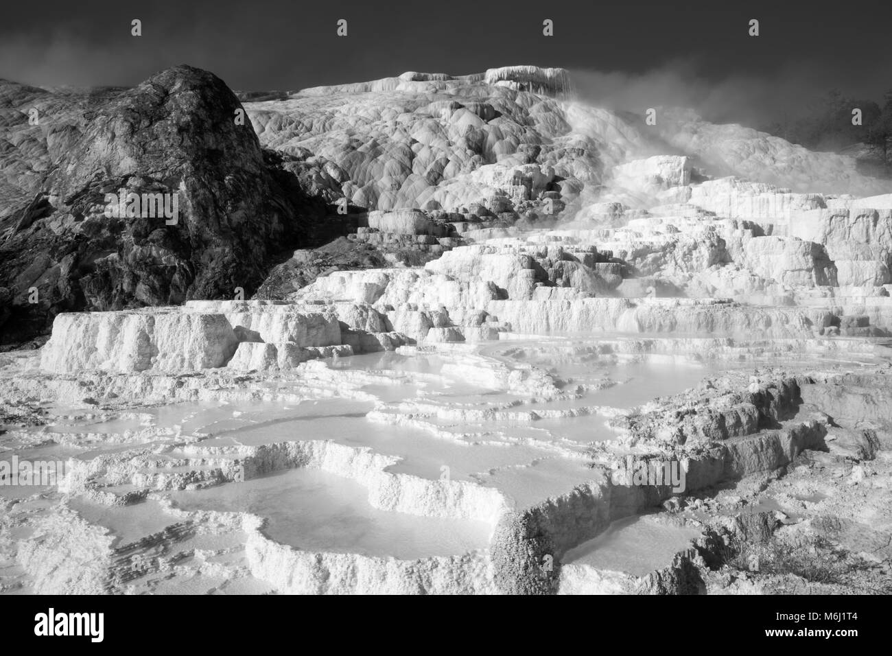 Grande misty naturale valvola di sfiato del vapore geyser incrostati di forma unica altopiani di depositi di minerali e acqua che scorre il Parco Nazionale di Yellowstone USA Foto Stock