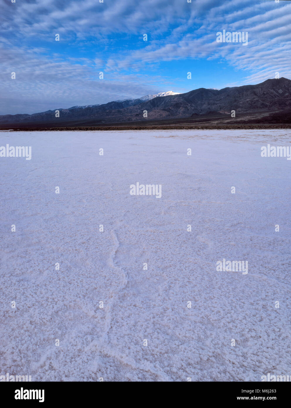 Dawn, saline, il Parco Nazionale della Valle della Morte, California Foto Stock