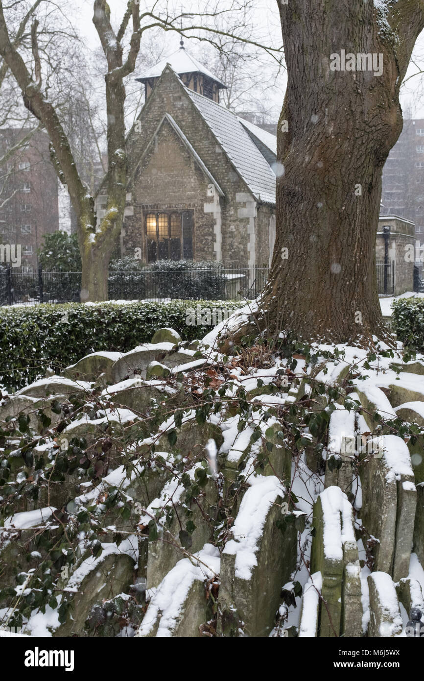 L'ardito albero nella neve, St Pancras vecchia chiesa, Camden, London, Regno Unito Foto Stock