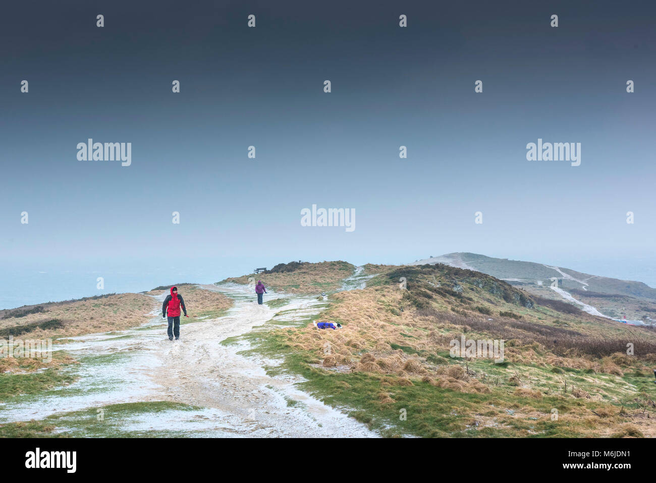 Regno Unito meteo Dog walkers lottando per camminare attraverso est Pentire durante invernale condizioni meteo Newquay Cornwall. Foto Stock