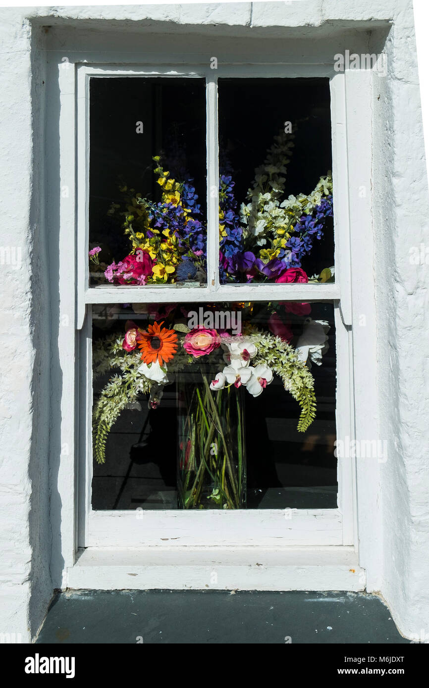 Coloratissimi fiori artificiali visibile attraverso una finestra. Foto Stock