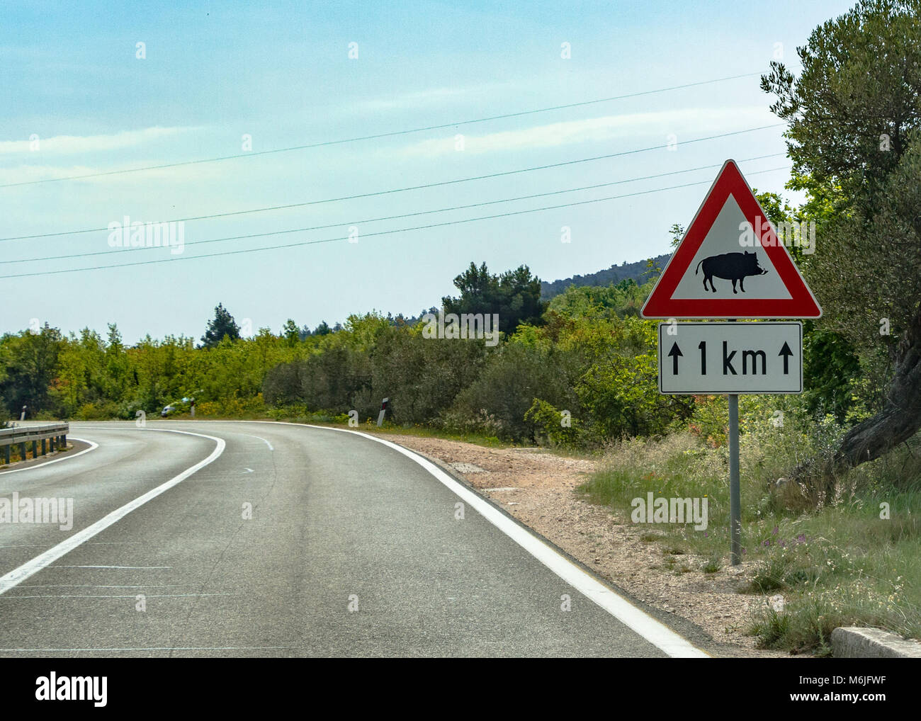 Avvertenza, cinghiale crossing in Croazia Foto Stock