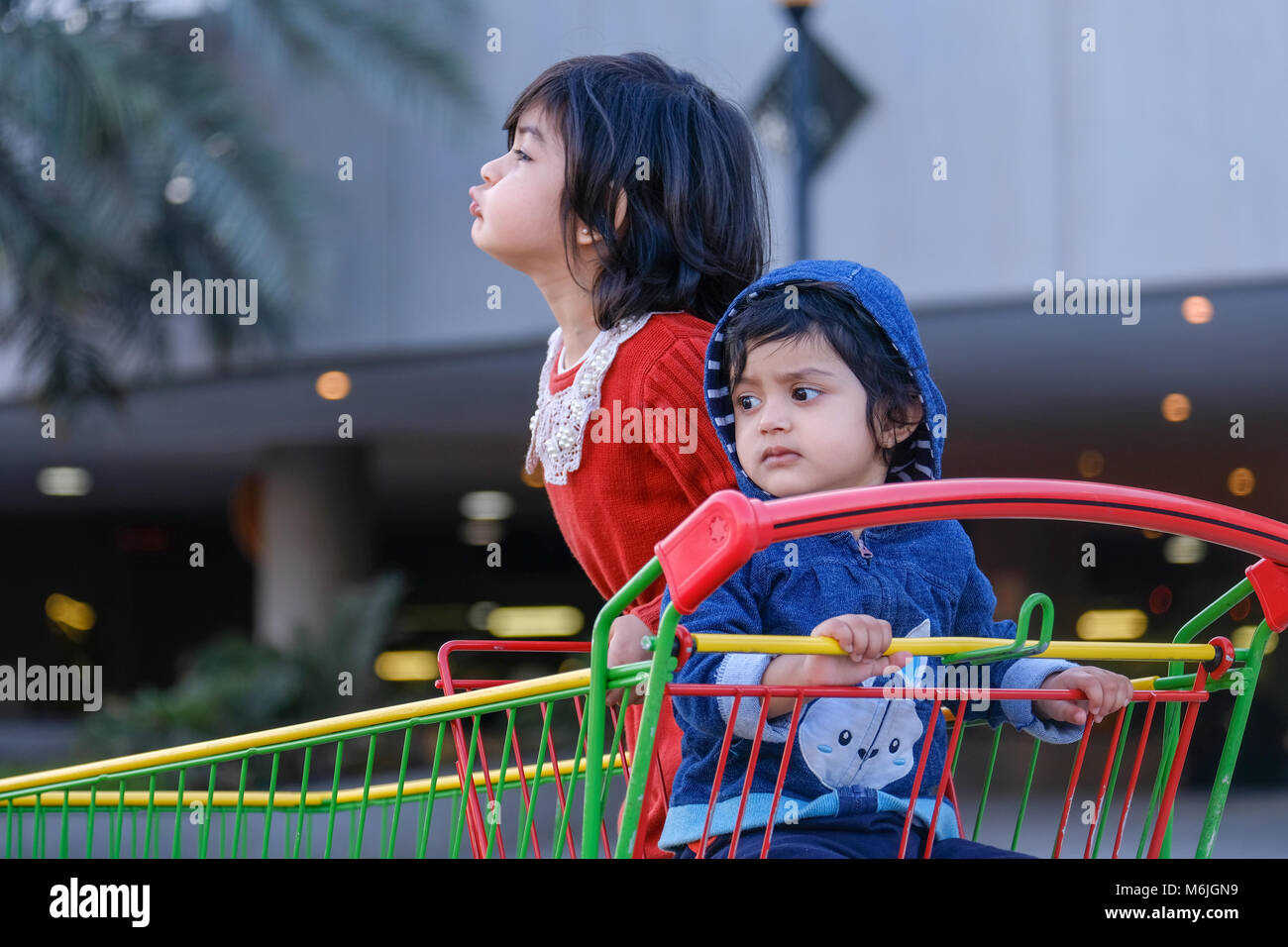Due ragazze in piedi nel negozio di generi alimentari carrello /Carrello Foto Stock