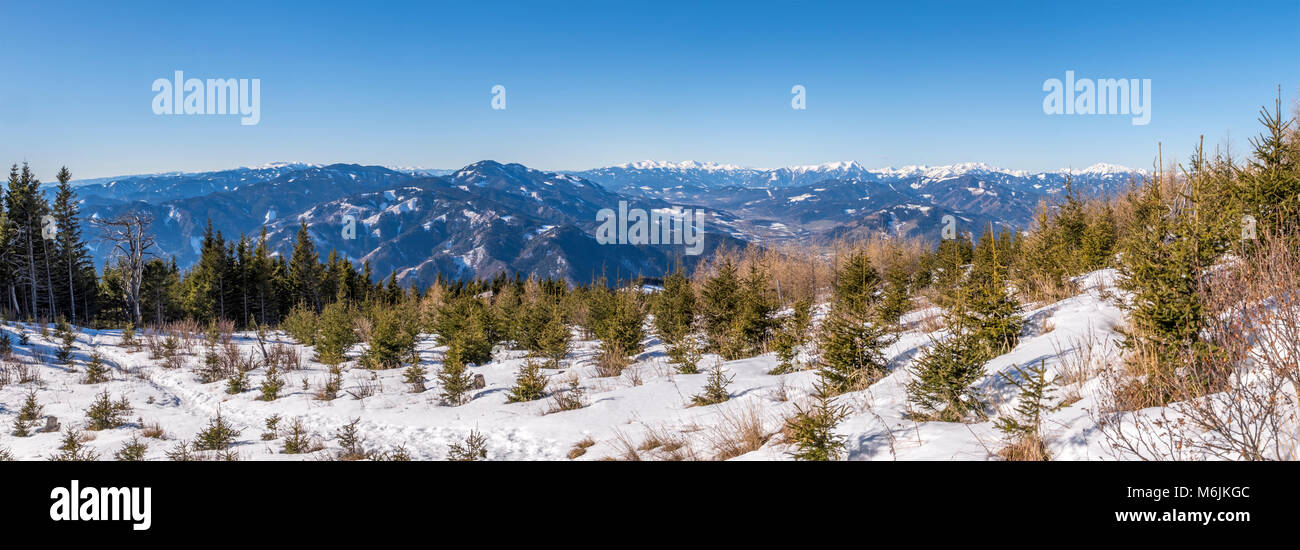 Ampio paesaggio panoramico di giovani alberi sulla montagna Rennfeld e lontane cime Mugel, Eisenerzer Reichenstein, Goesseck e Hochschwab Foto Stock