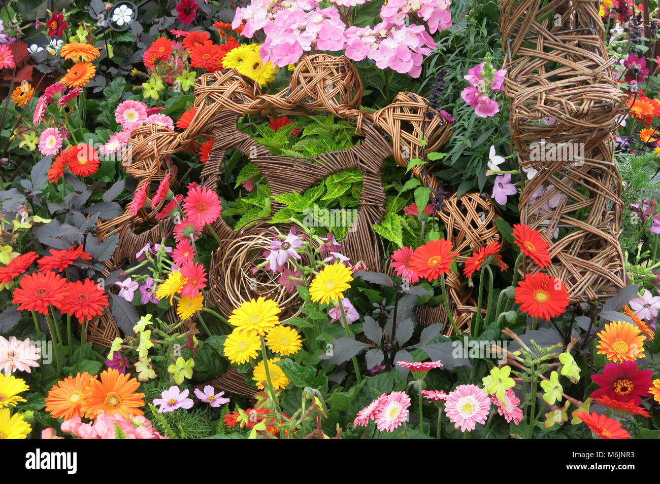 Il grassetto e il bellissimo - un tripudio di colori e una fitta piantagione in una visualizzazione per un confine di estate in giardino Foto Stock