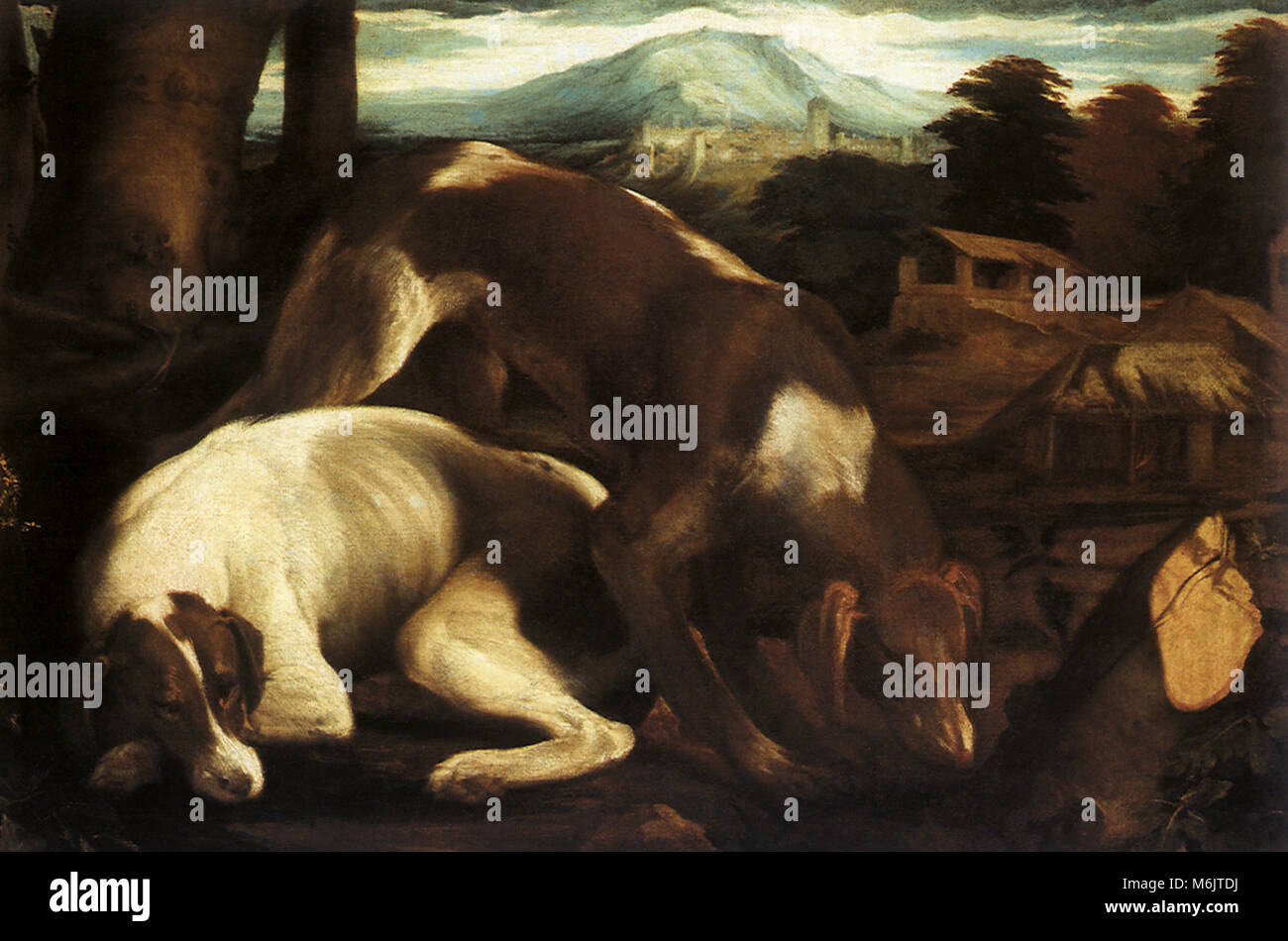 Due cani, Bassano, Jacopo, 1555. Foto Stock