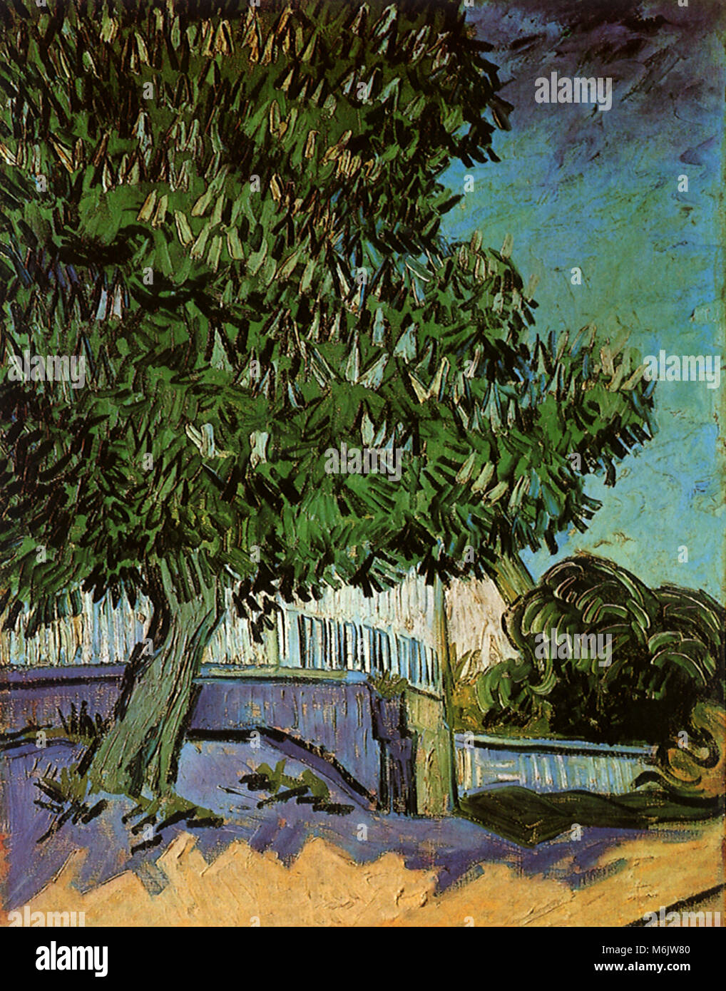 Albero di castagno in fioritura, Van Gogh, Vincent Willem, 1890. Foto Stock